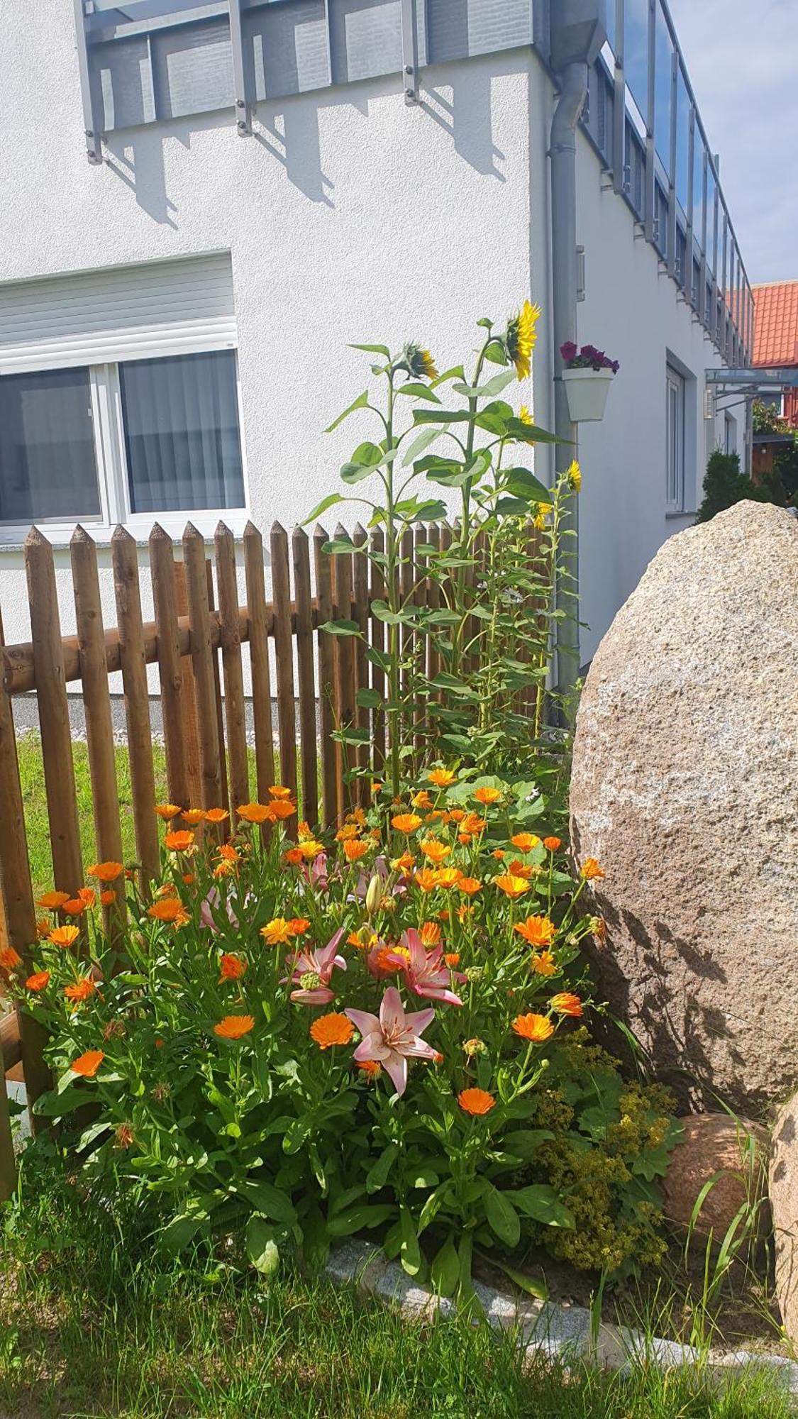 Ferienwohnungen "Godewind", Appartements Mit Balkon Oder Terrasse Зиновиц Екстериор снимка