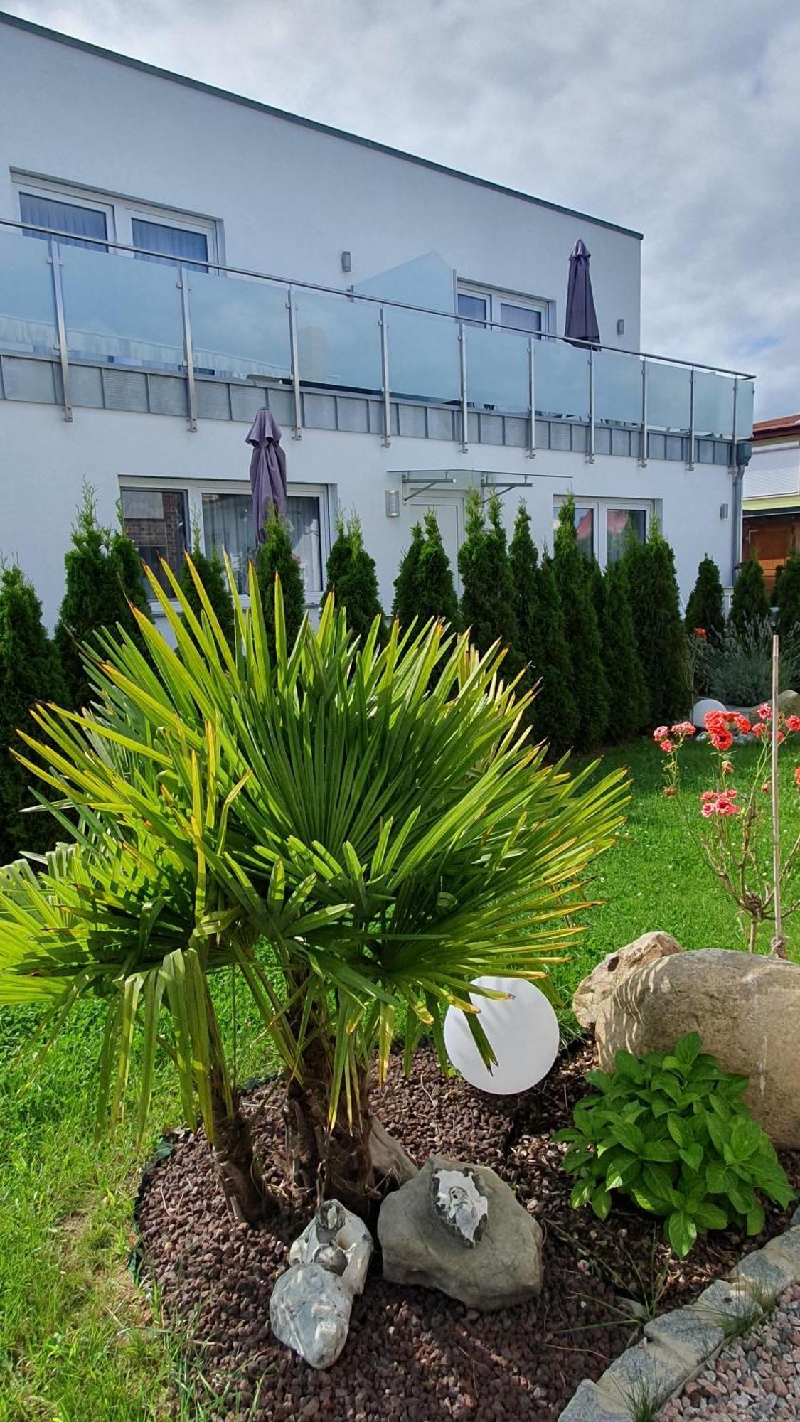 Ferienwohnungen "Godewind", Appartements Mit Balkon Oder Terrasse Зиновиц Екстериор снимка